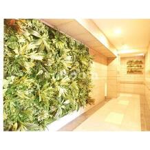 IL MEZZO DI TOKYO,UNO