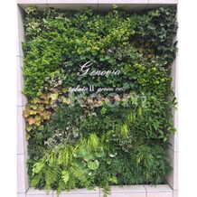 ジェノヴィア田端Ⅱグリーンヴェール