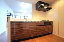 東京都豊島区駒込1丁目　ロイジェント駒込六義園