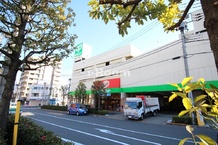 【スーパー】サミットストアー　滝野川紅葉橋店まで177ｍ