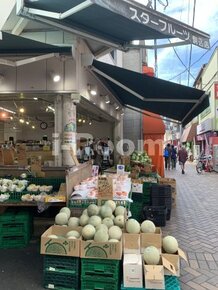 【その他】スターフルーツ駒込店まで155ｍ