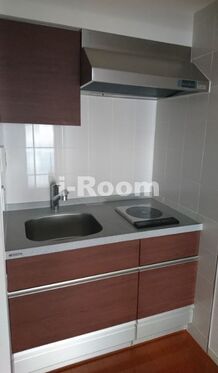 （別タイプ参考写真）リビオレゾン小石川　文京区小石川3